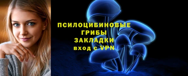 молекула духа Бронницы