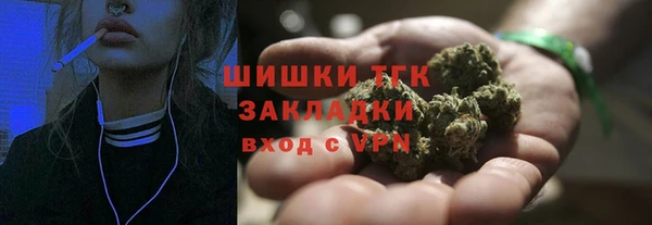 шишки Бугульма