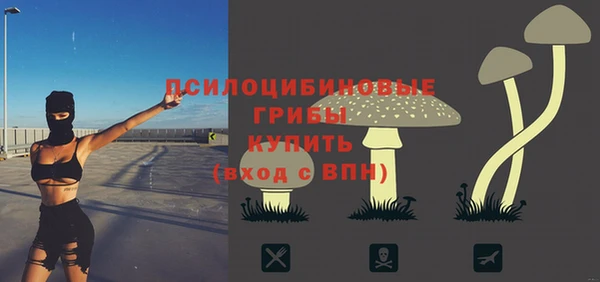 круглые Бородино