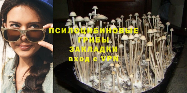 шишки Бугульма