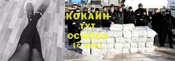 шишки Бугульма