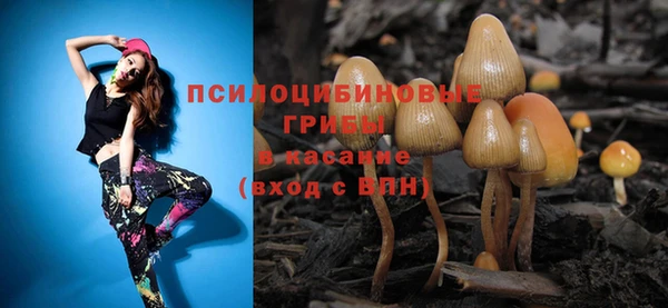 круглые Бородино