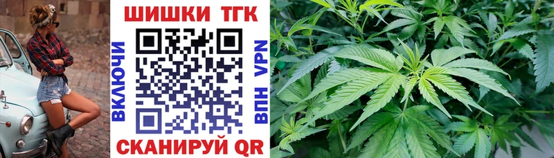 купить наркотик  Ростов  Шишки марихуана планчик 